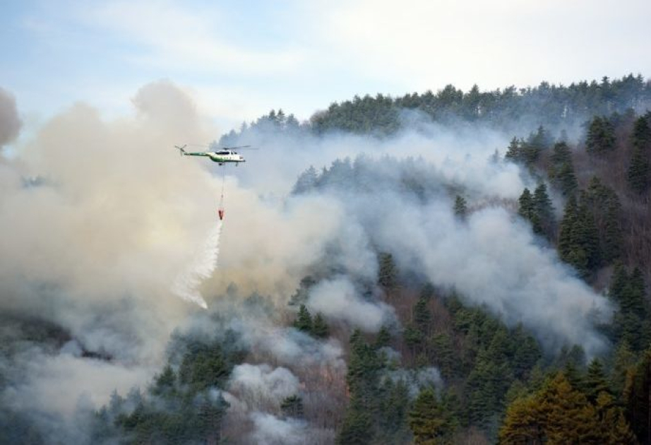 Fire in Georgia’s Tusheti region intensifies, helicopter deployed for response