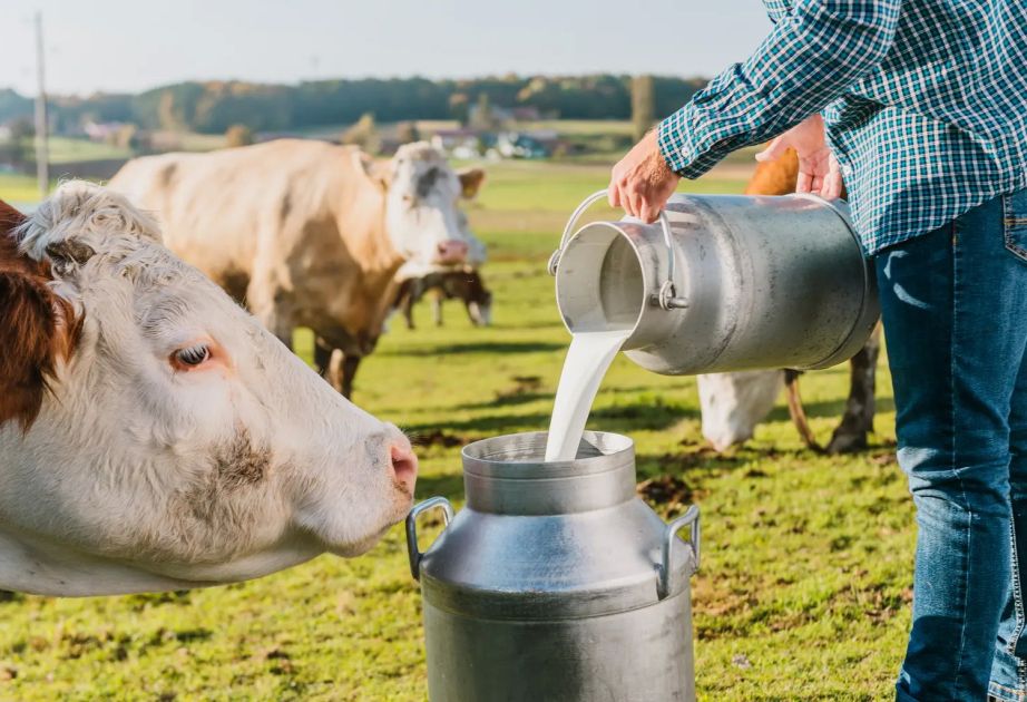 US duties hit Swiss farmers