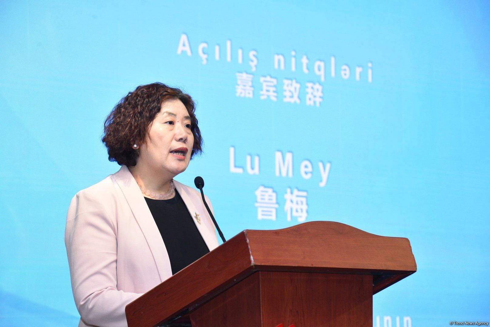 Azerbaijan is important member of SCO family, says Ambassador Lu Mei