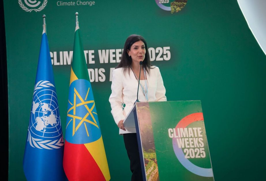 COP29 Presidency: Decisions taken in Baku serve justice and support vulnerable nations