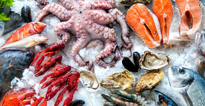 Pakistani exporters eye Chinese market with live seafood solutions