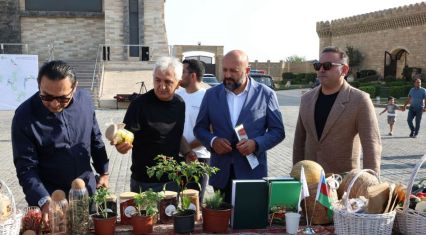 Sweet figs draw crowds to vibrant celebration of taste and traditions [PHOTOS]
