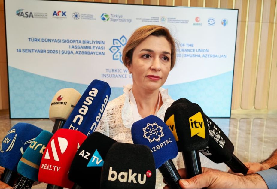 Chairwoman: Insurance sectors of Turkic states to benefit from new union