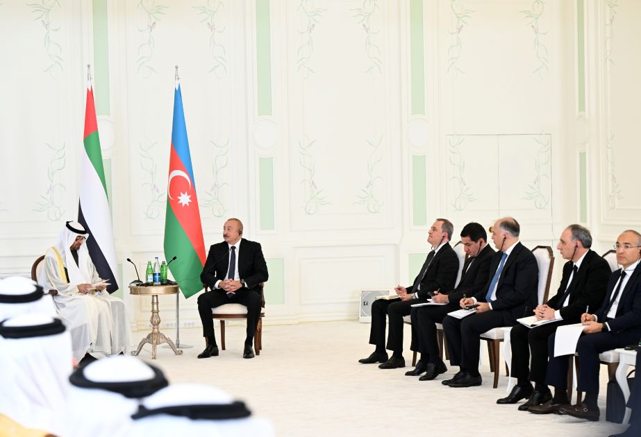 President: Our political relations with UAE are developing very successfully