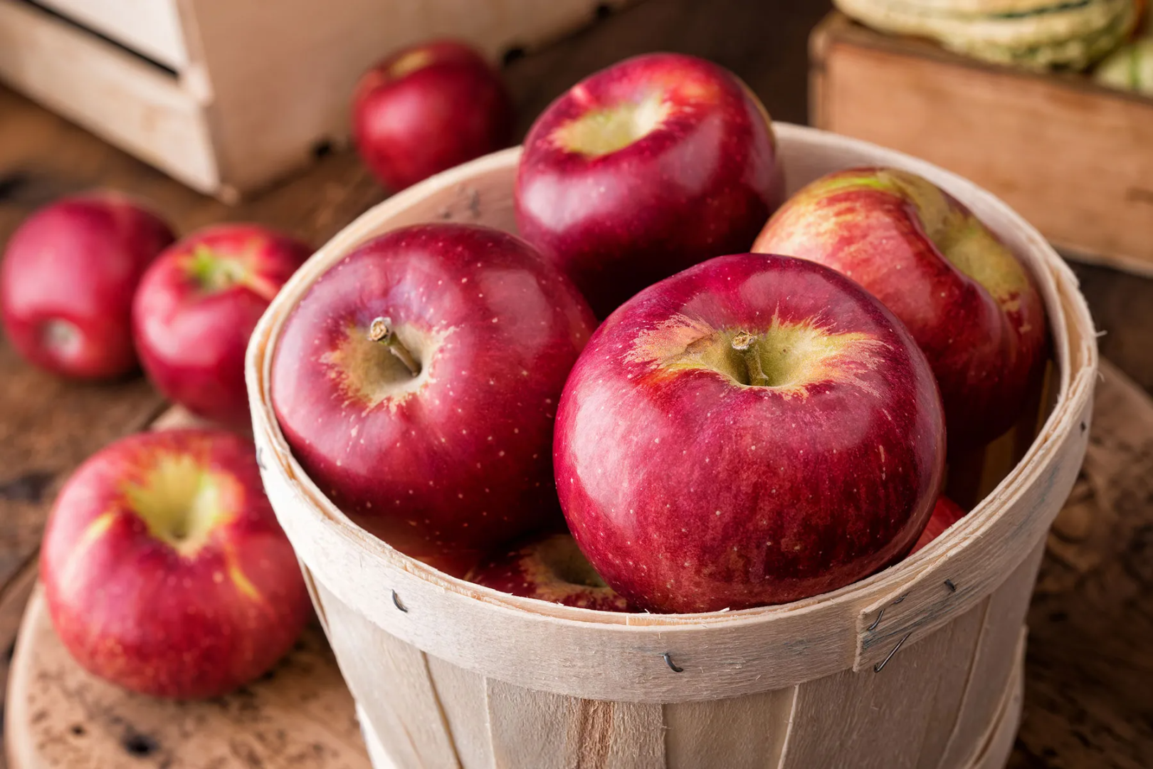 Azerbaijan’s apple exports grow sharply in first seven months of year