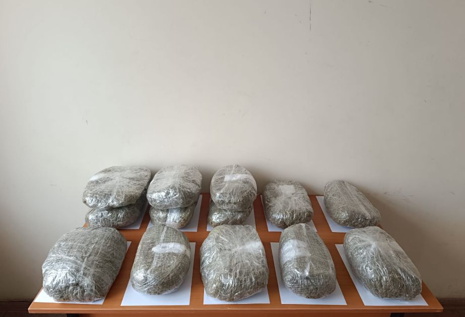 Azerbaijan foils attempted drug smuggling at Iranian border