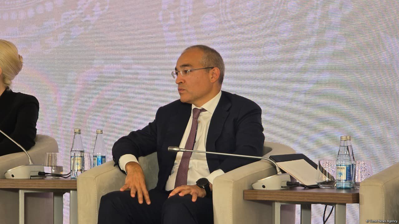 Azerbaijan emerging as natural hub for logistics and energy, Economy Minister Says
