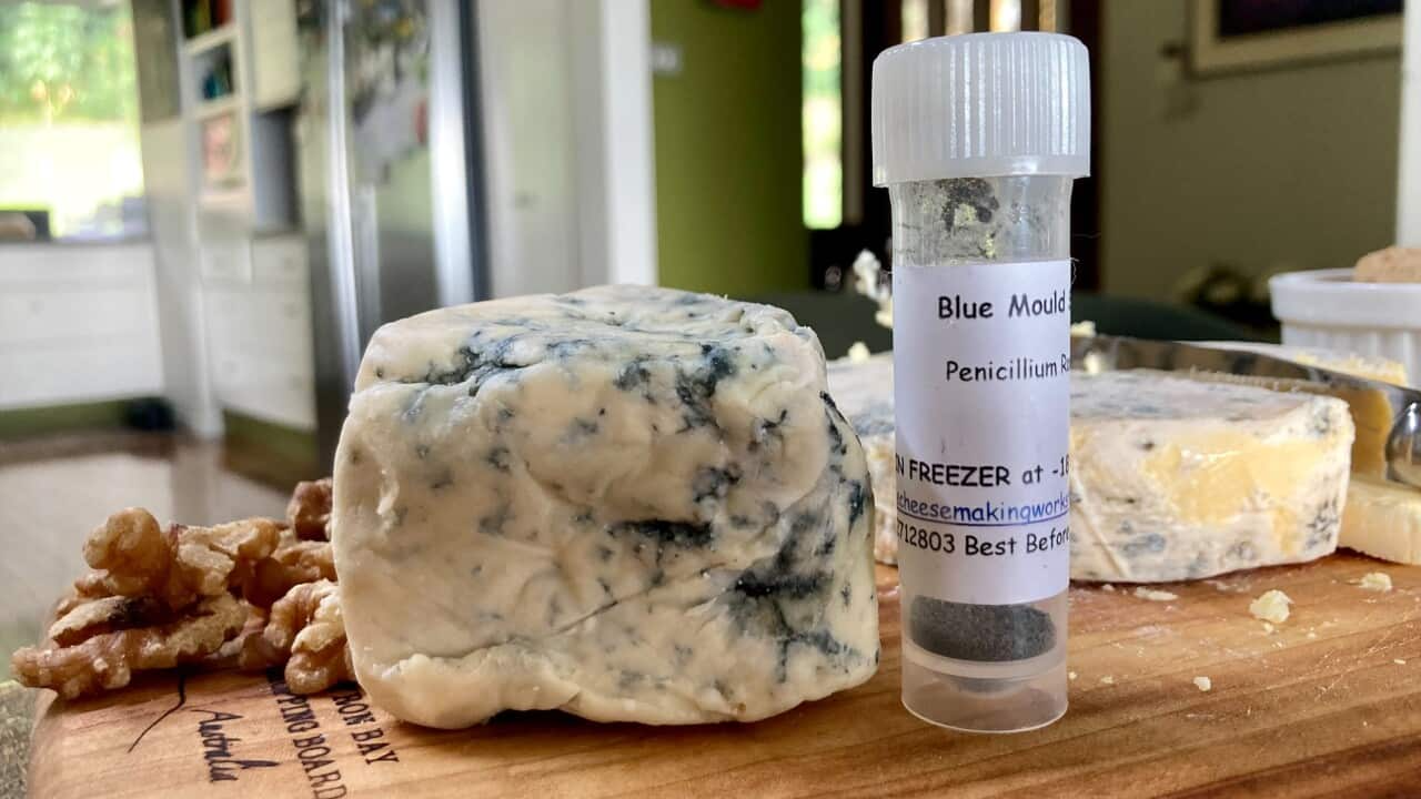 Azerbaijan increases imports of blue cheese, with Denmark as main supplier