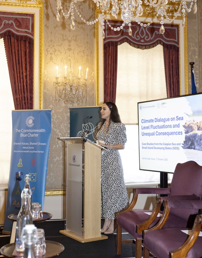 Vice-President of Heydar Aliyev Foundation Leyla Aliyeva attends Flagship Climate Dialogue in London [PHOTOS]