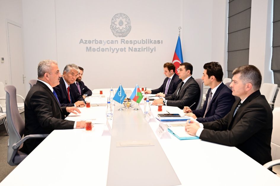 Azerbaijan, TURKSOY discuss prospects for cooperation [PHOTOS]
