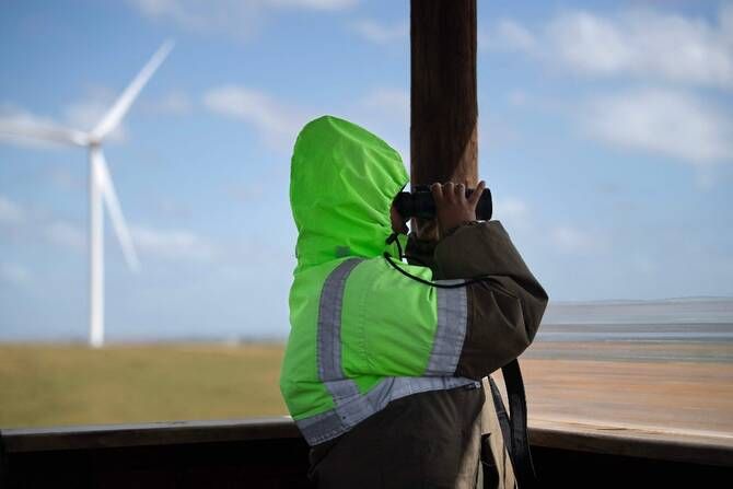 South Africa seeks to save birds from wind turbine risks