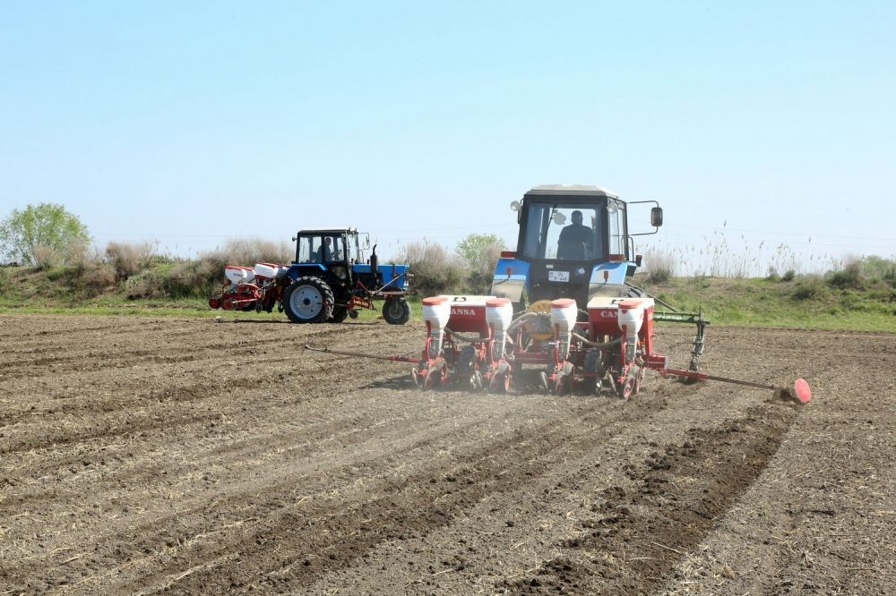 Autumn sowing campaign launched in Jabrayil district
