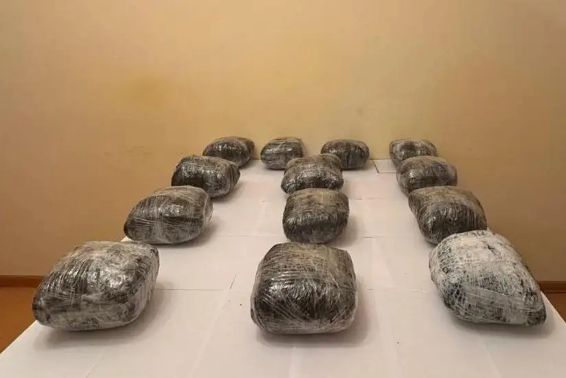 Drug smuggling attempt foiled on southern border
