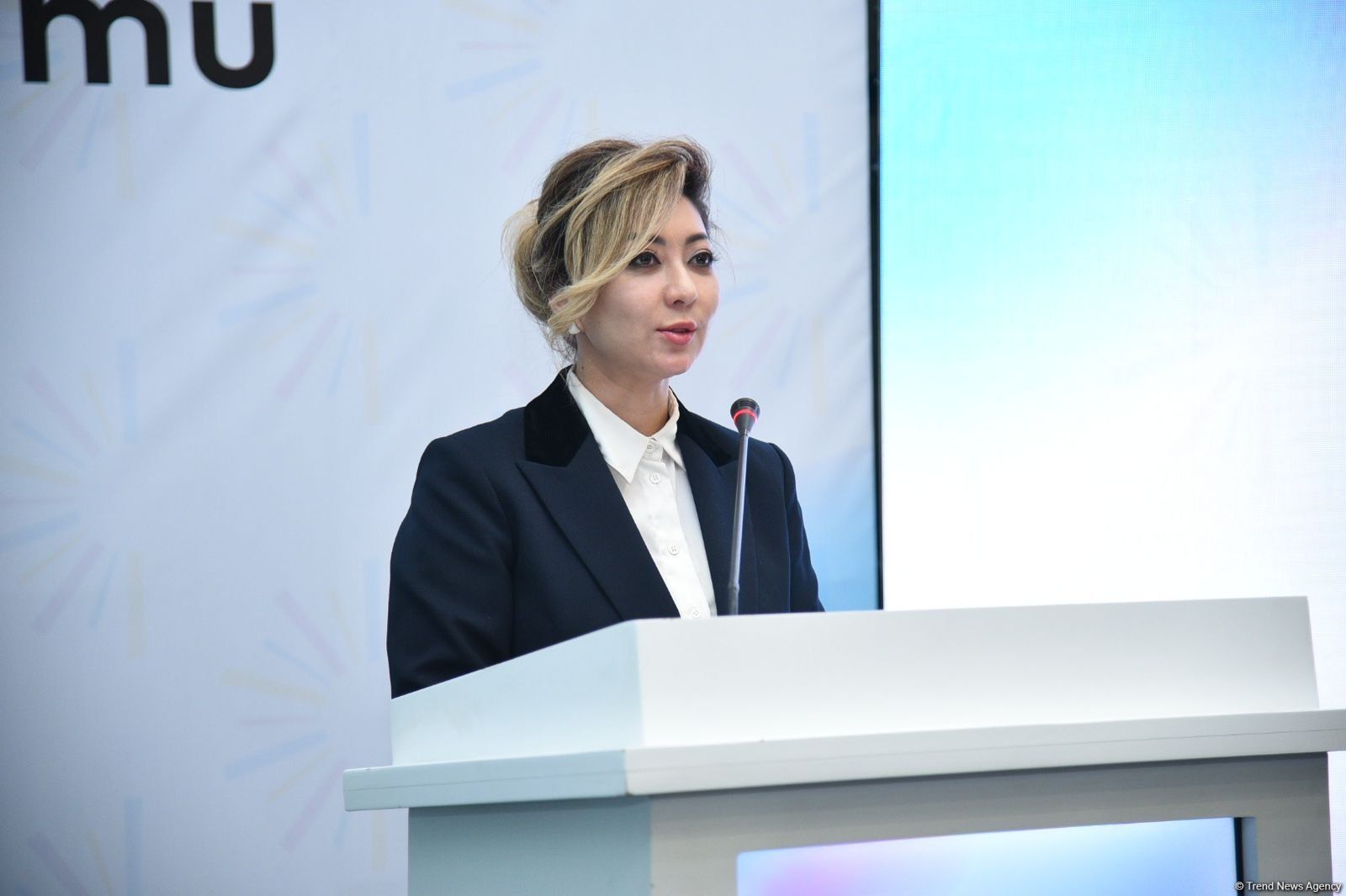 Middle Corridor becomes key artery of Eurasian trade, says Kazakh official