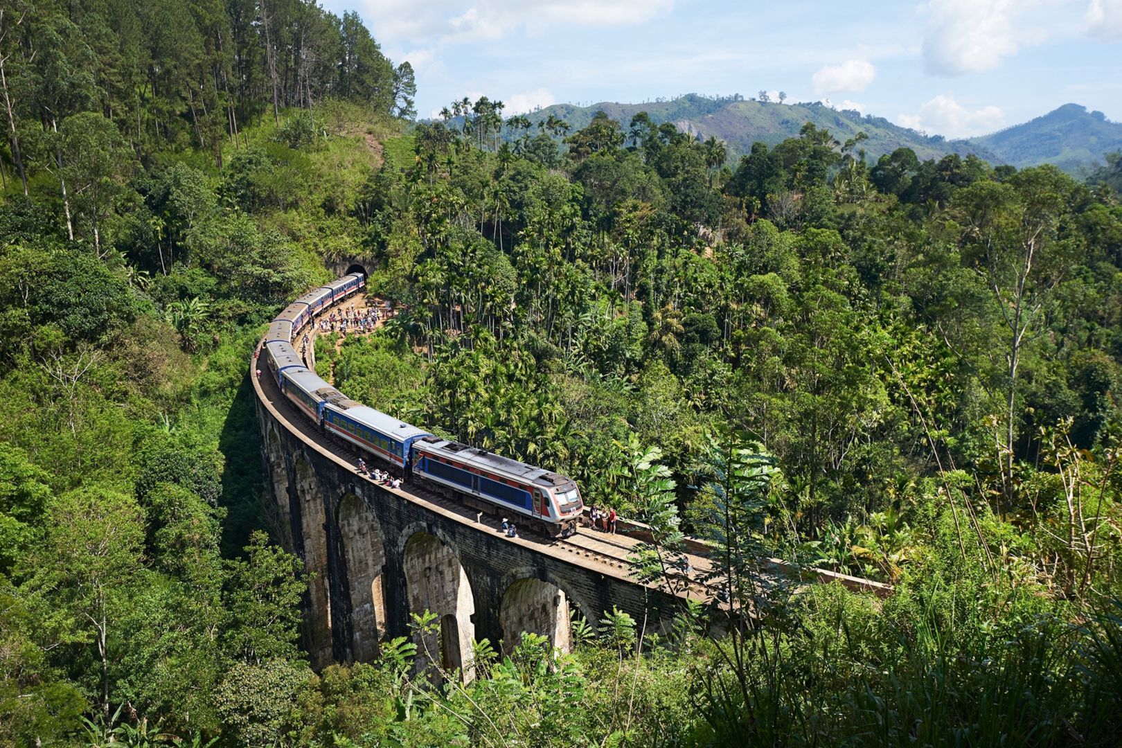 Sri Lanka forms task force for forest and wildlife protection