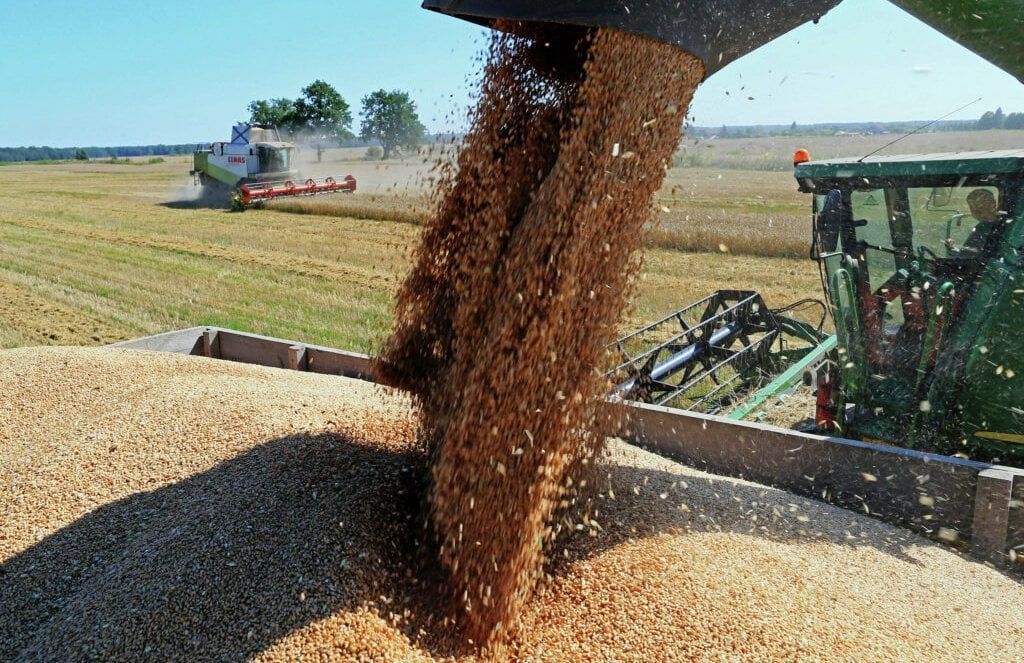 Türkiye’s grain and legume exports top 10 bln dollars in ten months