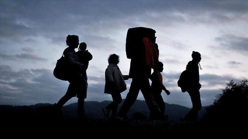 Number of refuge seekers in Azerbaijan rises by nearly 9% in 2025