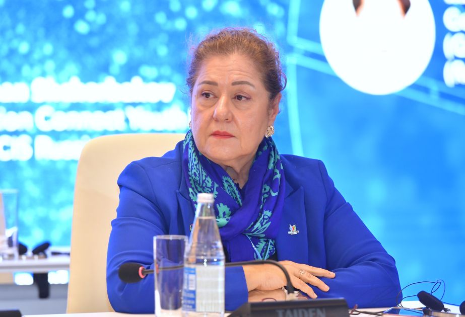 Youth engagement key to achieving sustainable development in Azerbaijan, says WHO representative