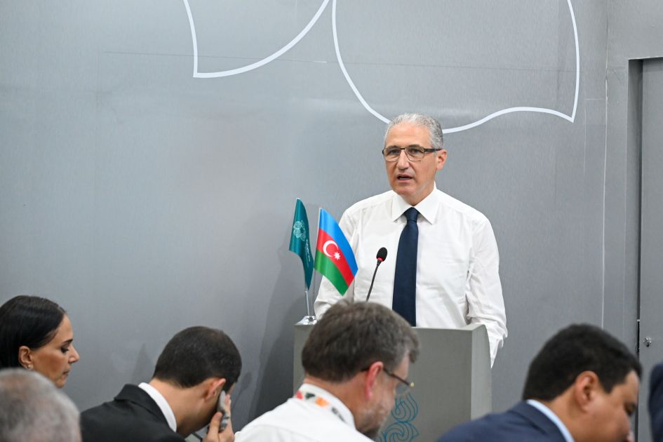Azerbaijan leads regional push on Caspian Sea level crisis at COP30 [PHOTOS]