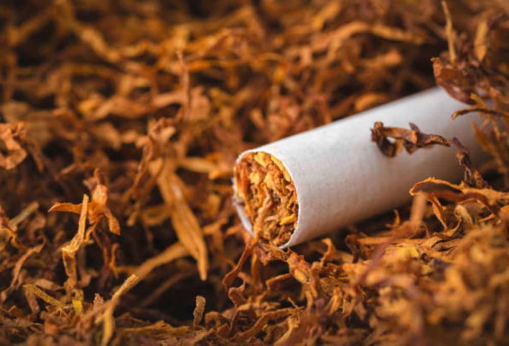 Azerbaijan sees strong rise in cigarette exports and production