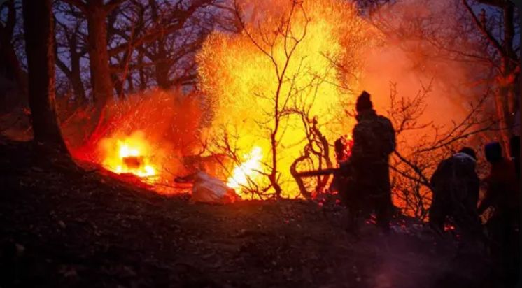 Iran battles fire in UNESCO-listed forest