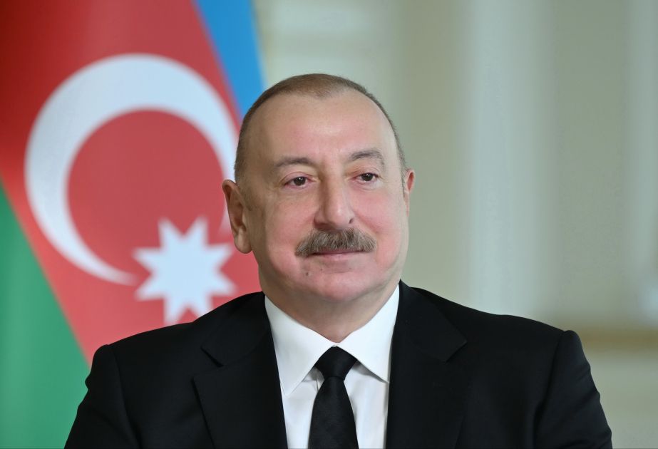 President says coordinated Turkic World NGOs can greatly advance national objectives