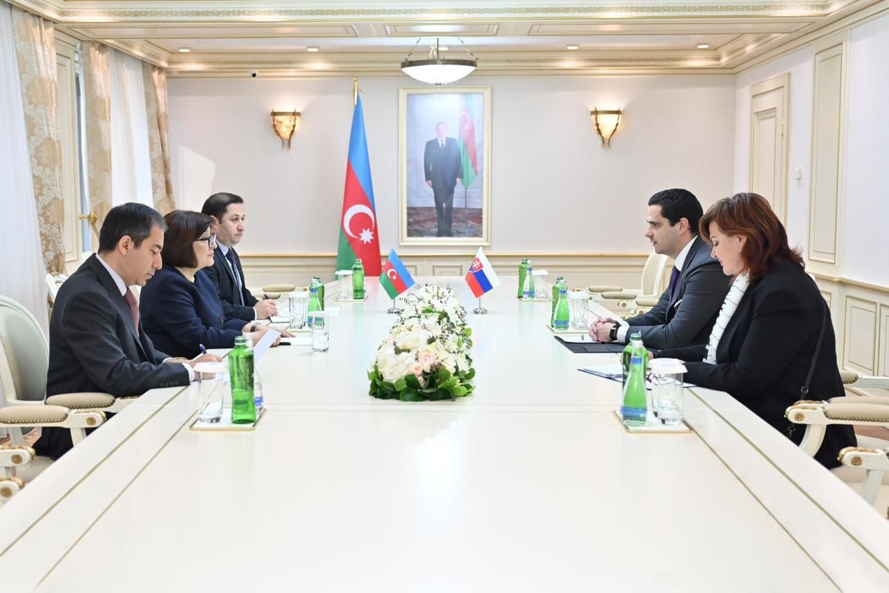 Azerbaijani Parliament Speaker meets Slovak Ambassador
