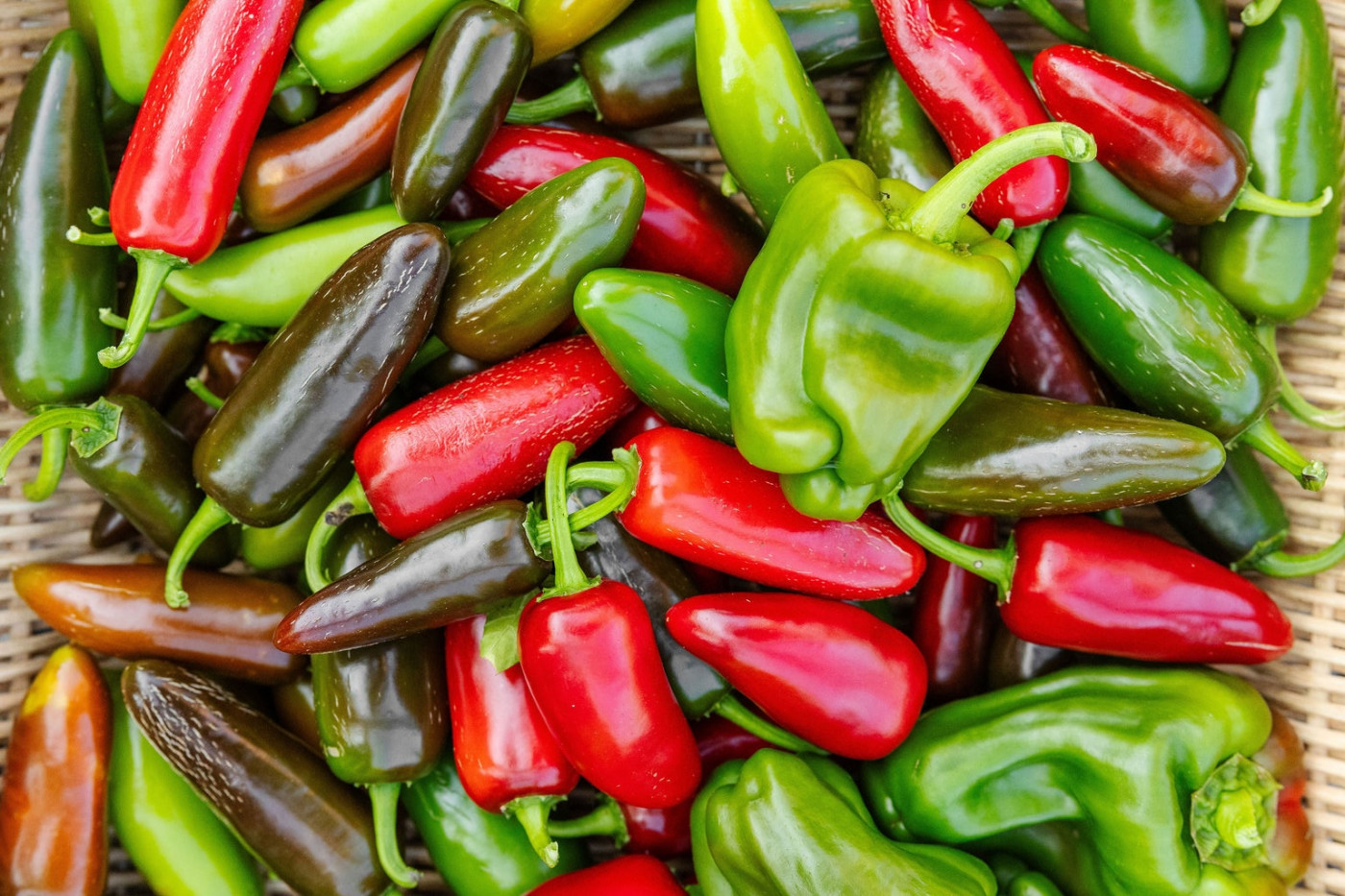 Strong growth marks Azerbaijan’s renewed pepper trade with Georgia