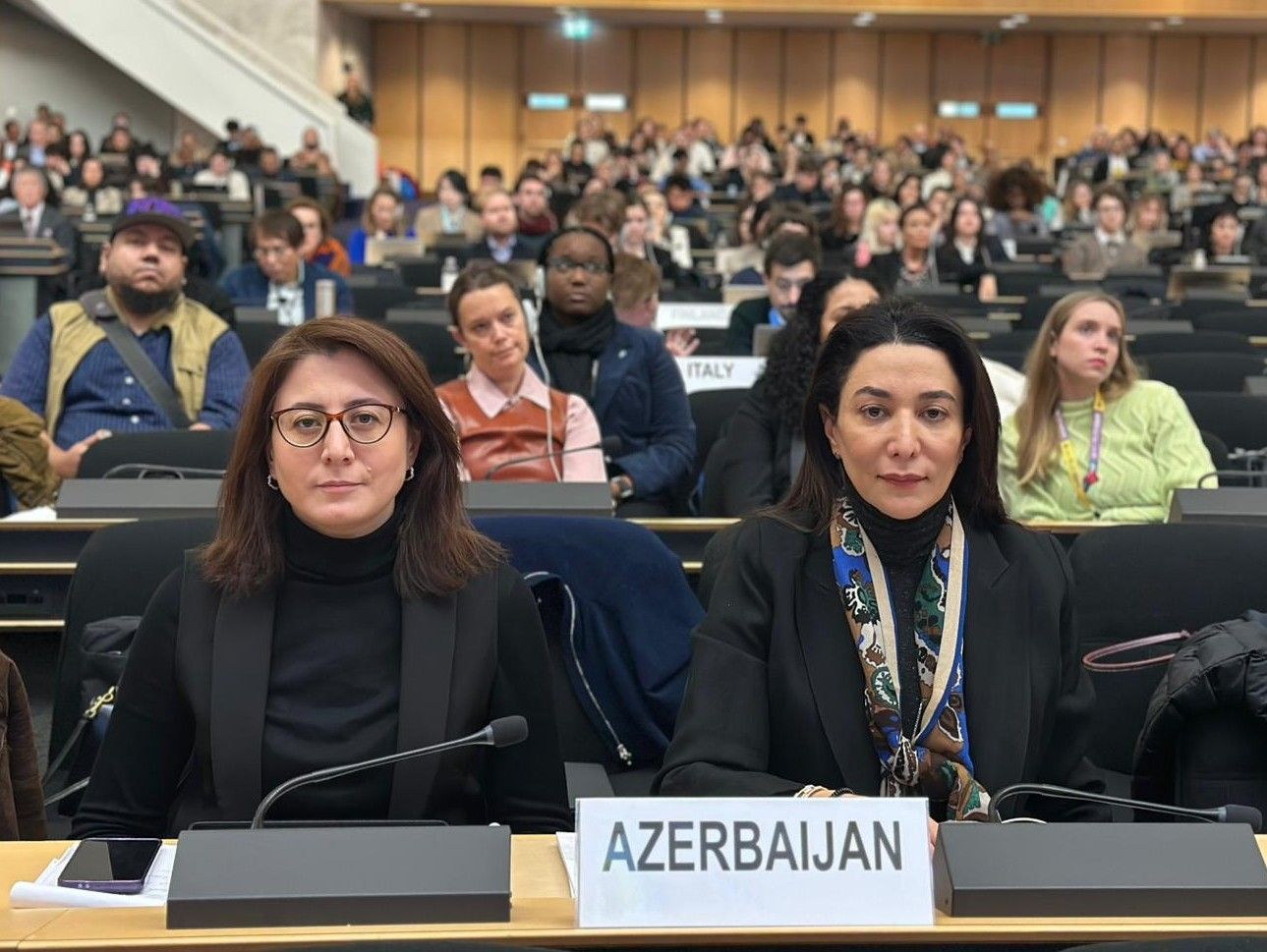 Azerbaijani Ombudsman participates in UN Forum on Business and Human Rights in Geneva [PHOTOS]