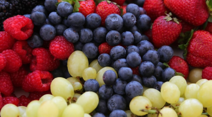 Berries and grape production in Nakhchivan rises as new subsidies introduced