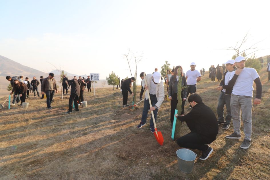 Tree-planting campaign and march held in Ganja city [PHOTOS]