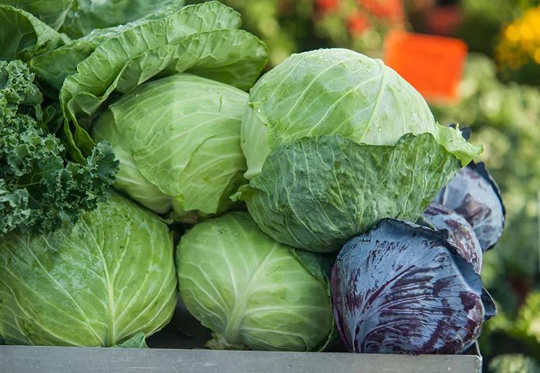 Azerbaijan sharply increases cabbage imports from Iran while overall volumes drop