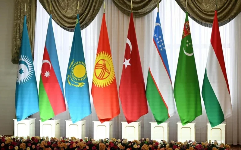 Azerbaijan stresses key role of OTS in regional cooperation