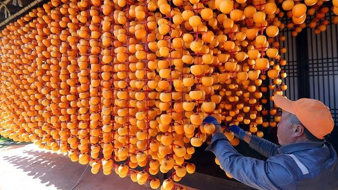 Azerbaijan strengthens its position in global persimmon market