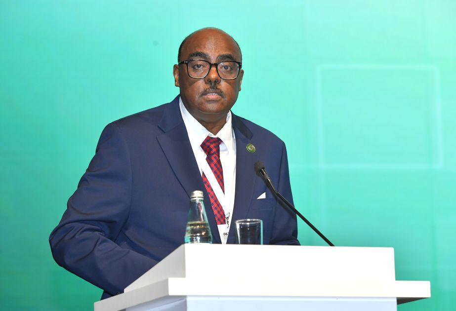 Tarig Ali Bakheet: Baku emerges as creative hub of capitals uniting creative spirit of Islamic World