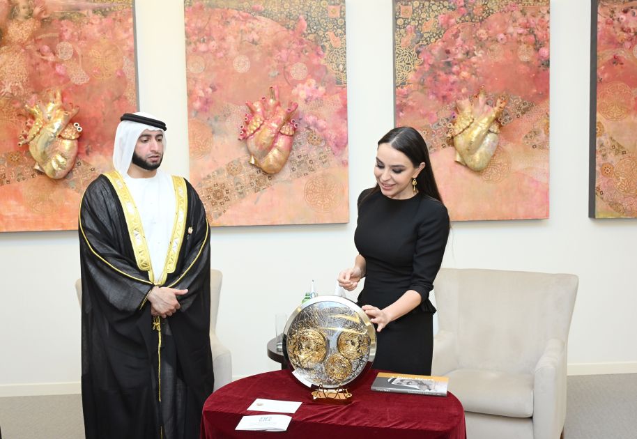 Heydar Aliyev Foundation, Hamdan Bin Rashid Al Maktoum Foundation explore new cooperation [PHOTO]