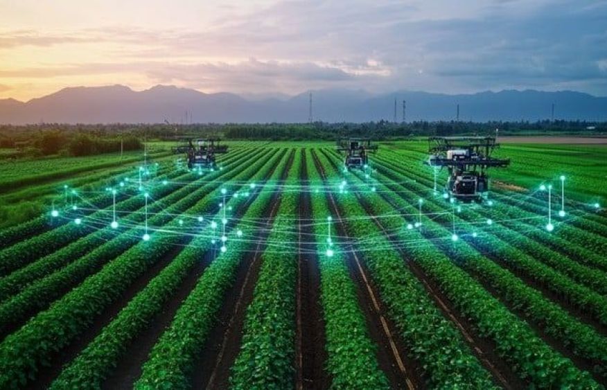 Agroparks emerge as strategic engines of rural development in Azerbaijan