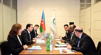 Azerbaijan, OIC seek to enhance cooperation in cultural field [PHOTOS]