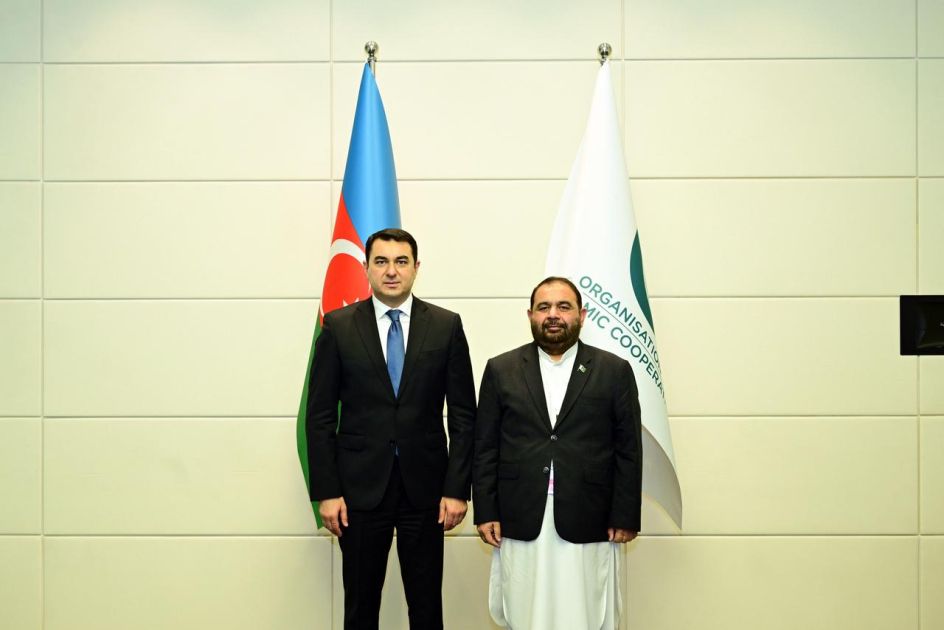 Baku, Islamabad eye strengthening cultural ties