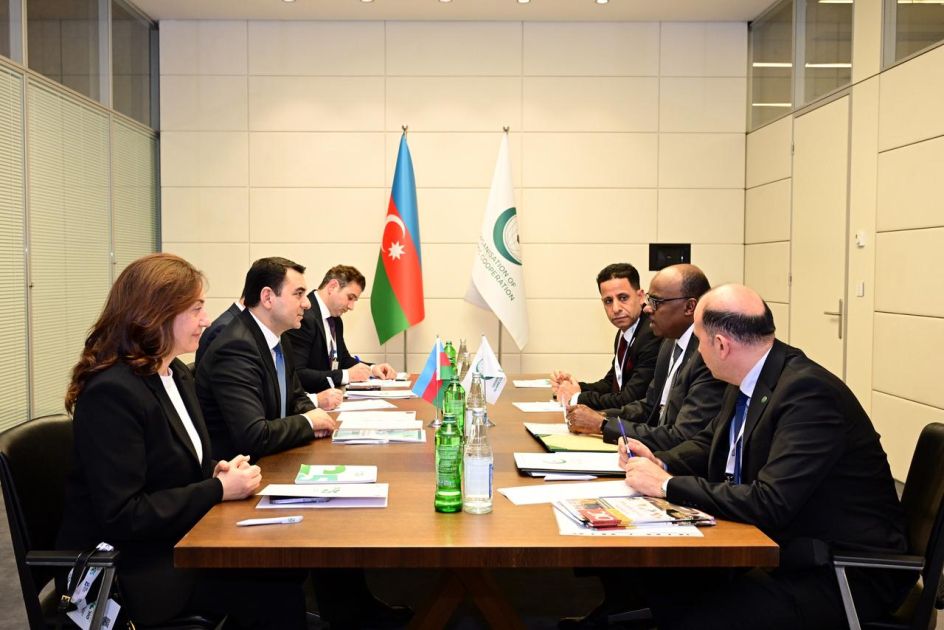 Azerbaijan, OIC seek to enhance cooperation in cultural field [PHOTOS]