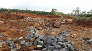 Vietnam bans raw rare earth exports