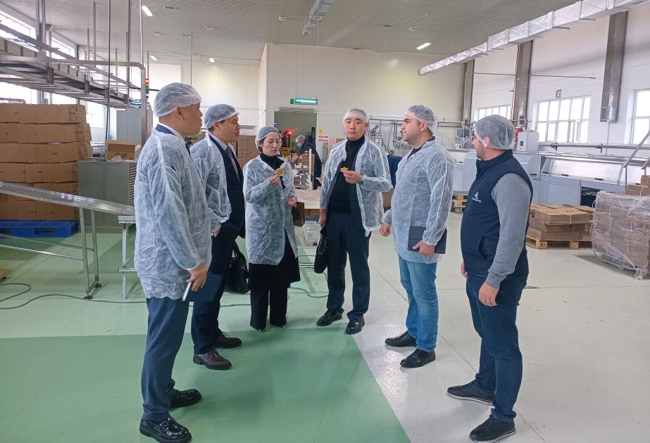 Chinese partners explore opportunities to expand imports of Azerbaijani products