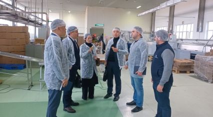 Chinese partners explore opportunities to expand imports of Azerbaijani products