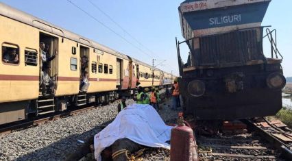 Seven elephants killed by train accident in India