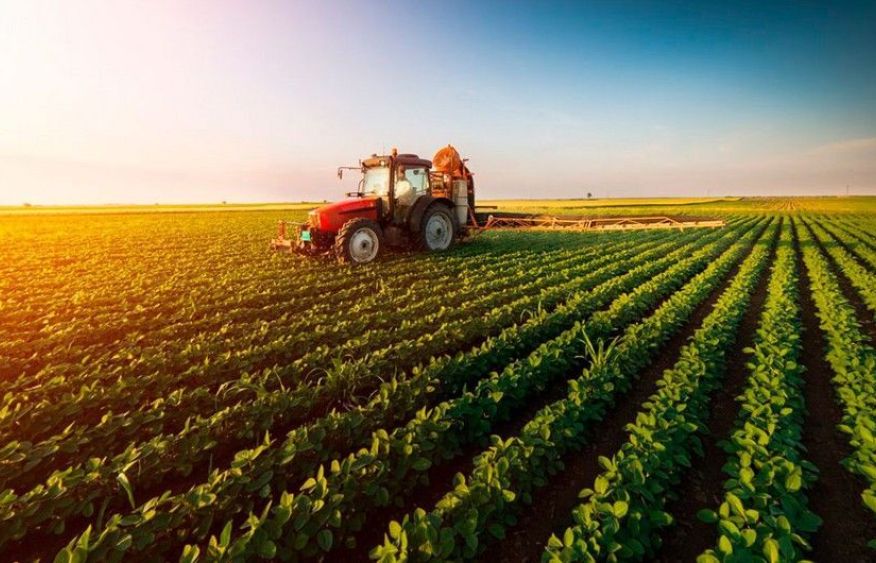 Azerbaijan’s agriculture expands role in non‑oil exports