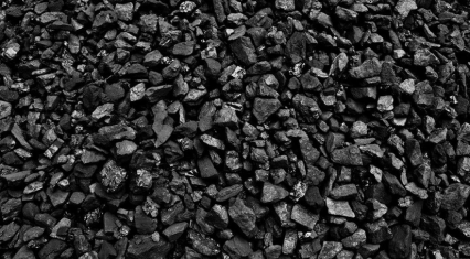 Petroleum coke exports surge in 2025 after fluctuation in previous years
