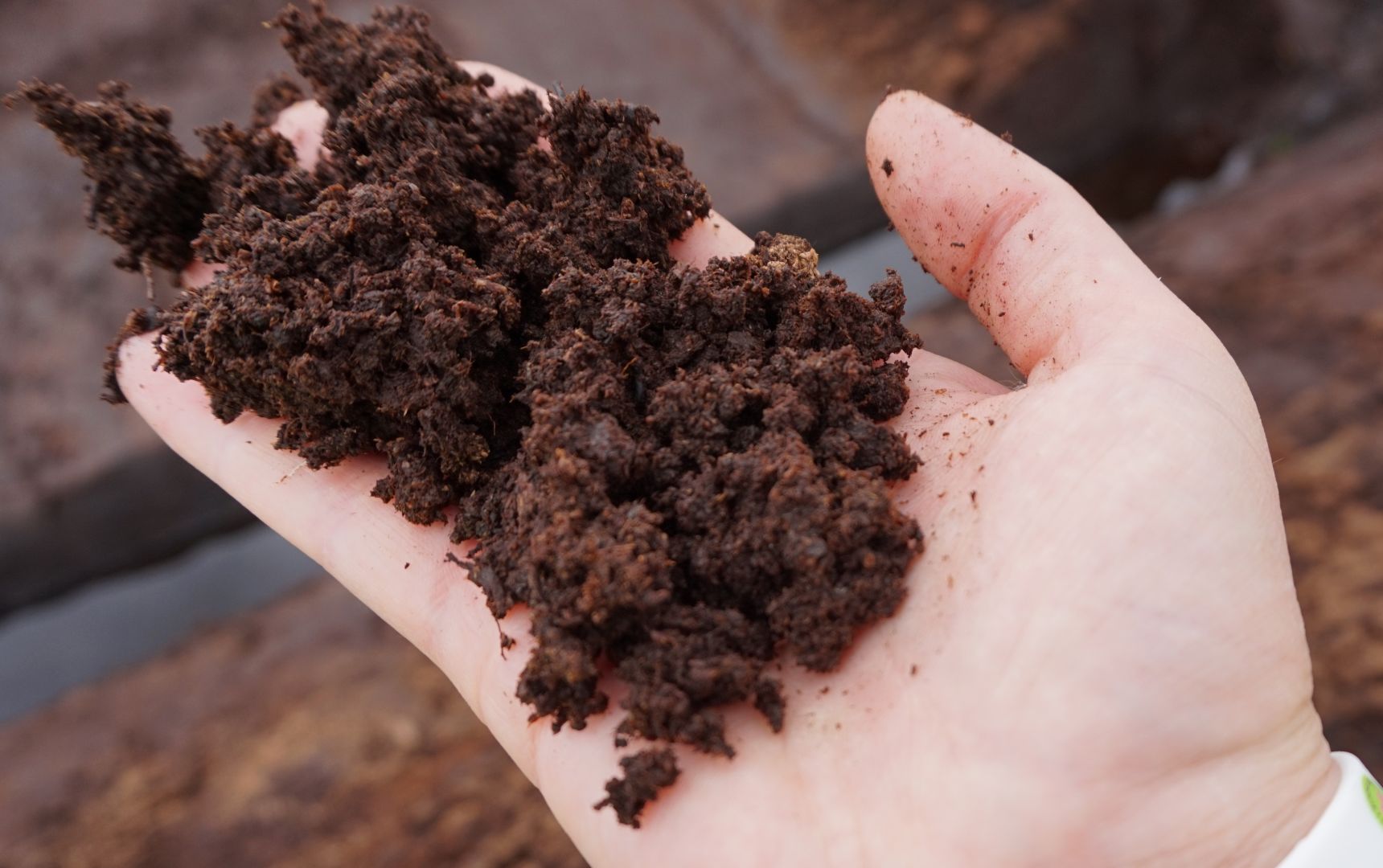 Azerbaijan’s peat imports rise in 2025 with Georgia remaining top supplier