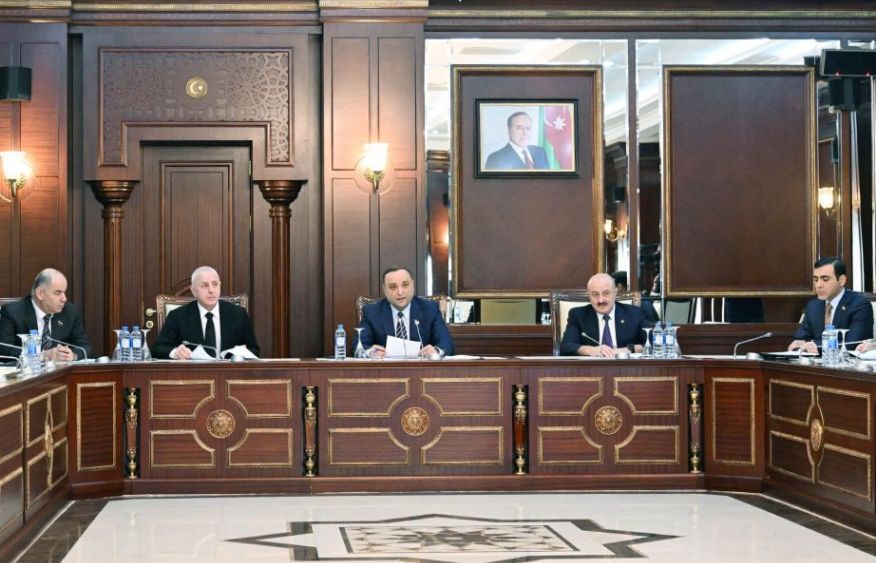 Parliamentary Youth and Sports Committee approves 2026 spring plan