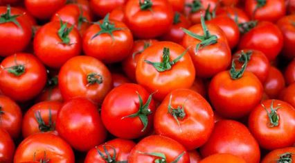 Azerbaijan exports $172 million worth of tomatoes in seven months