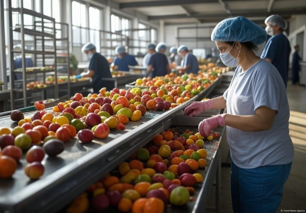 Azerbaijan’s agricultural exports gain momentum as non-oil trade expands